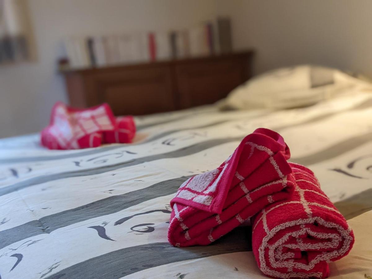 Le Vintage Grand Appartement 4 Etoiles Avec Jardin Proche Du Lac อานซี ภายนอก รูปภาพ